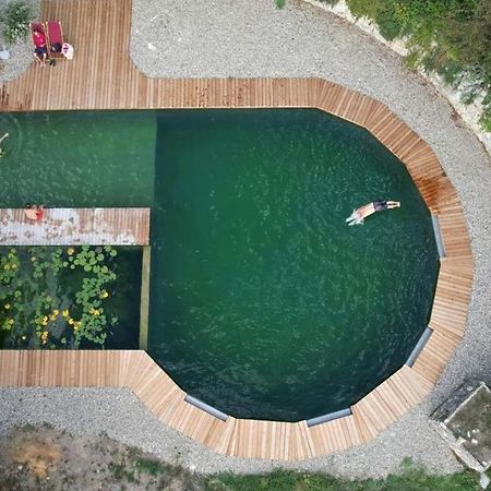 Grand Gite Les Cabanes De Fallot Pour 19 Personnes - Piscine Naturelle L'isle-Bouzon Zewnętrze zdjęcie